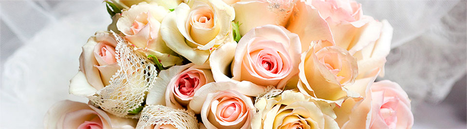 گالری لوپین||||1||||گالری صفحه اصلی